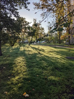 Parkın güzel manzarası