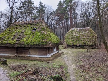 the open-air museum of traditional wooden architecture in the national park in Ukraine, wooden house view