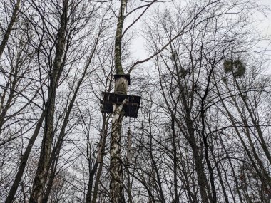 the open-air museum of traditional wooden architecture in the national park in Ukraine, old beehive view