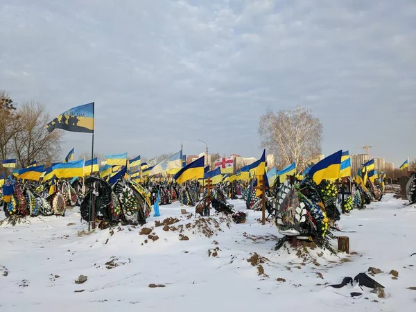 Kyiv Alley Heroes Rows Flags Graves Ukrainian Soldiers — Stock Photo, Image