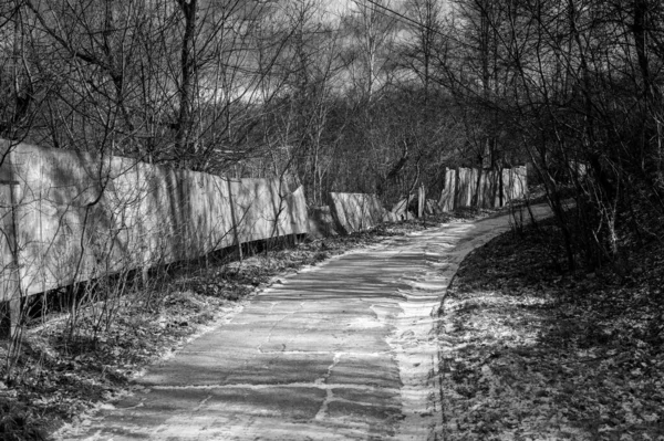 Черно Белое Фото Дороги Парке — стоковое фото