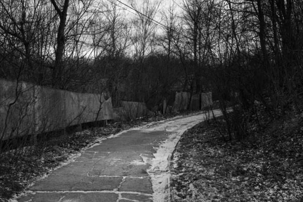 Ασπρόμαυρη Φωτογραφία Του Δρόμου Στο Πάρκο — Φωτογραφία Αρχείου