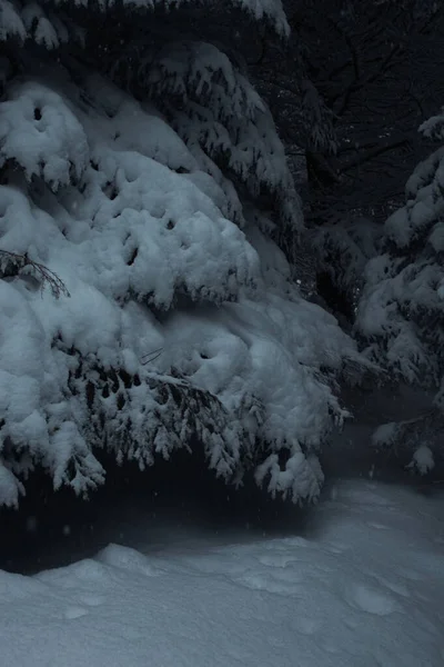 Malowniczy Zimowy Las Śnieżnym Krajobrazem — Zdjęcie stockowe