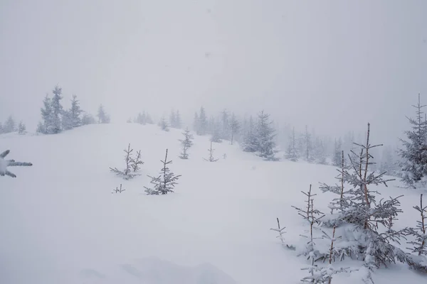 Een Pittoresk Uitzicht Besneeuwde Bergen Met Een Besneeuwd Landschap — Stockfoto