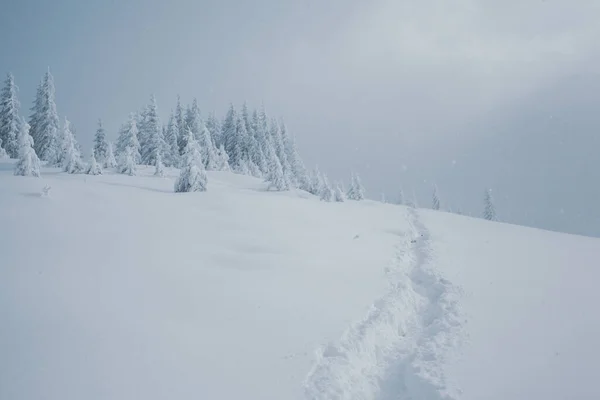 Magisch Winterlandschap Met Besneeuwde Bomen Bergen — Stockfoto