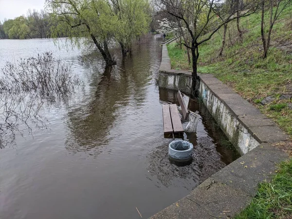 Parco Cittadino Inondato Acqua Dopo Straripamento Del Fiume — Foto Stock