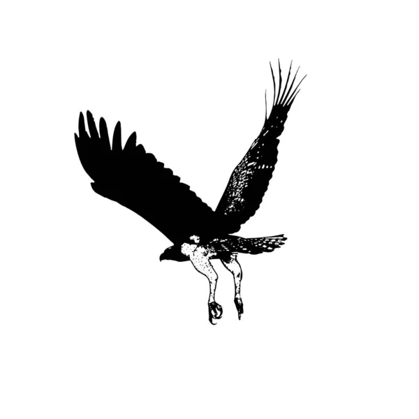 Ілюстрація Піктограми Орла Ізольована Білому Векторний Знак — стоковий вектор