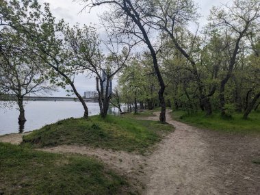 Baharda güzel bir park ve nehir manzarası.