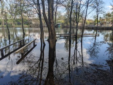 Nehir taştıktan sonra parktaki ağaçlar suyla doldu.