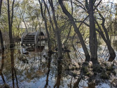 Baharda parktaki eski ahşap köprü