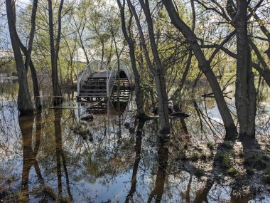 Baharda parktaki eski ahşap köprü
