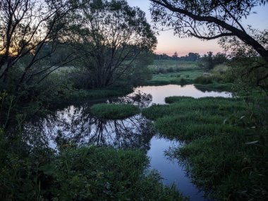 Gün batımında ormanda bir nehir