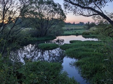 Parkta güzel bir gün batımı