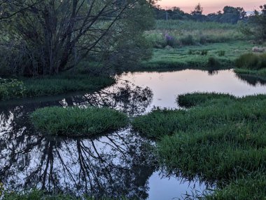 Ormanda nehri olan güzel bir manzara.