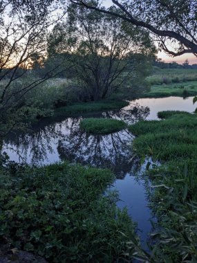 Ormandaki nehrin güzel manzarası