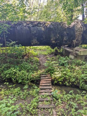 Ormanda ahşap köprü 