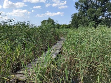 Doğal manzaranın güzel manzarası