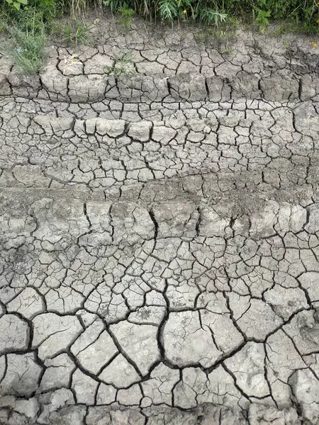 泥の中のひび割れた地球 — ストック写真