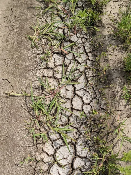 割れた地球 干ばつ 乾燥した土地 — ストック写真