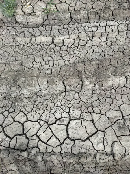 Texture Dry Cracked Ground Cracked Ground — Stock Photo, Image
