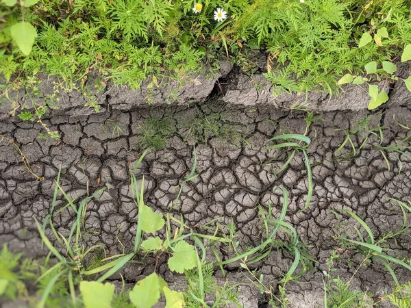土壌のテクスチャや背景 — ストック写真