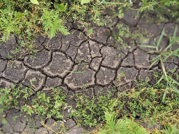 Dry Cracked Earth Field — Stock Photo, Image