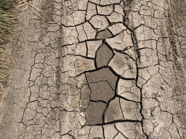 ひび割れた地球 地面に亀裂 — ストック写真