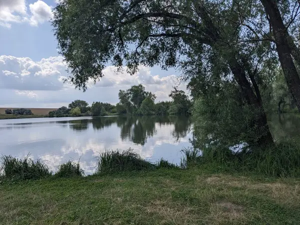 Beau Lac Dans Parc — Photo