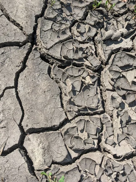 乾燥した土壌で割れた地球 — ストック写真