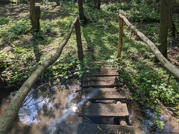 森に囲まれた古い木造の橋の美しいショット — ストック写真