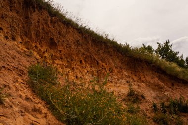Denizin arka planında kum tepeleri