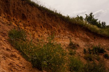 Çölde kum tepeciği