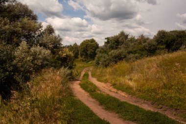 Ormanın güzel manzarası ve dağlardaki yol