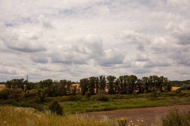Ağaçlarla ve bulutlu gökyüzüyle kırsal alan