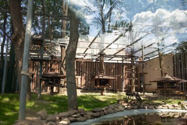 2023 yılında Ukrayna 'nın Harkiv kentindeki harabe hayvanat bahçesi.