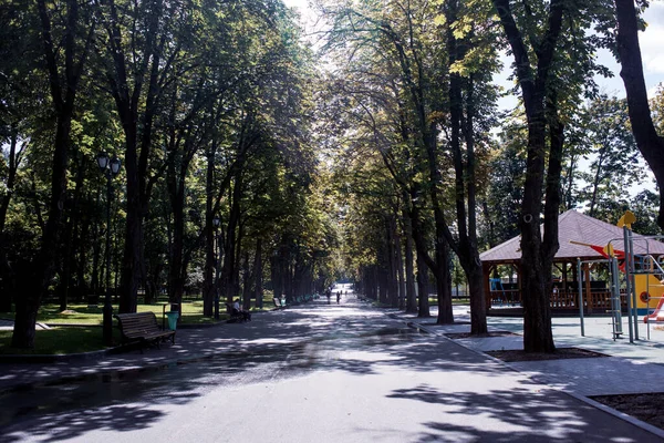 Парк Харькове Украина — стоковое фото