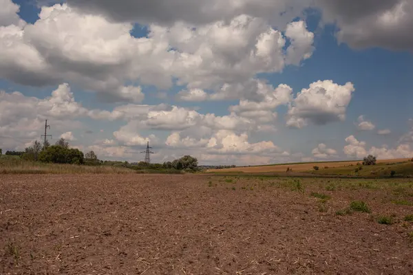 Agrarlandschaft Mit Feldern — Stockfoto