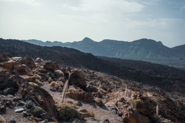 Kayalık dağların güzel manzarası