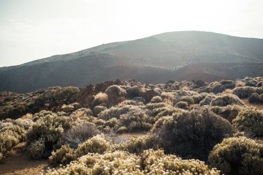 Volkanik ada, İspanya. Doğa