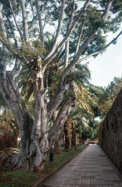 Güneşli bir günde güzel bir şehir parkı