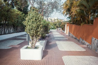 Avrupa 'nın boş sokaklarında