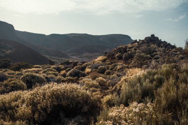 Güzel kayalık dağ çölü