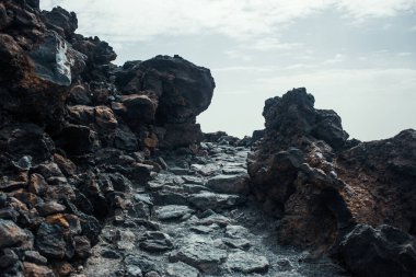 Güzel kayalık dağ çölü