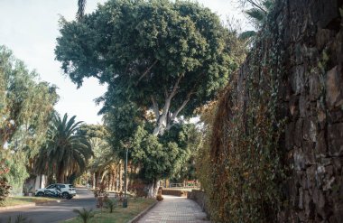 Gündüz vakti güzel Akdeniz kenti 