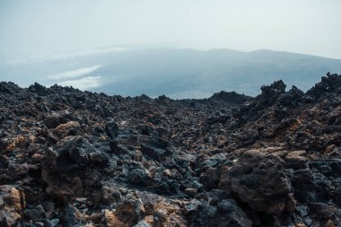 Güzel kayalık dağ çölü