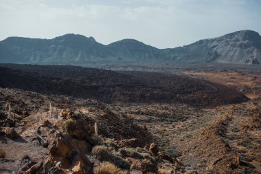 Güzel kayalık dağ çölü