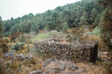 Ormandaki eski taş kalıntıları