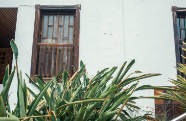 Eski evin yakınındaki yeşil bahçe.