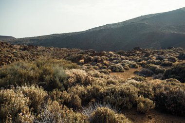 Güzel kayalık dağ çölü