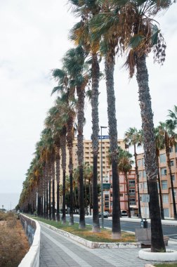 Gündüz vakti güzel Akdeniz kenti 